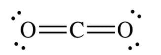 Carbon Compounds Chapter Notes | Earth and Environmental Science for Year 12