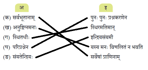 गीता सुगीता कर्तव्य NCERT Solutions | Sanskrit  (Deepakam) Class  8  -  New  NCERT - Class 8