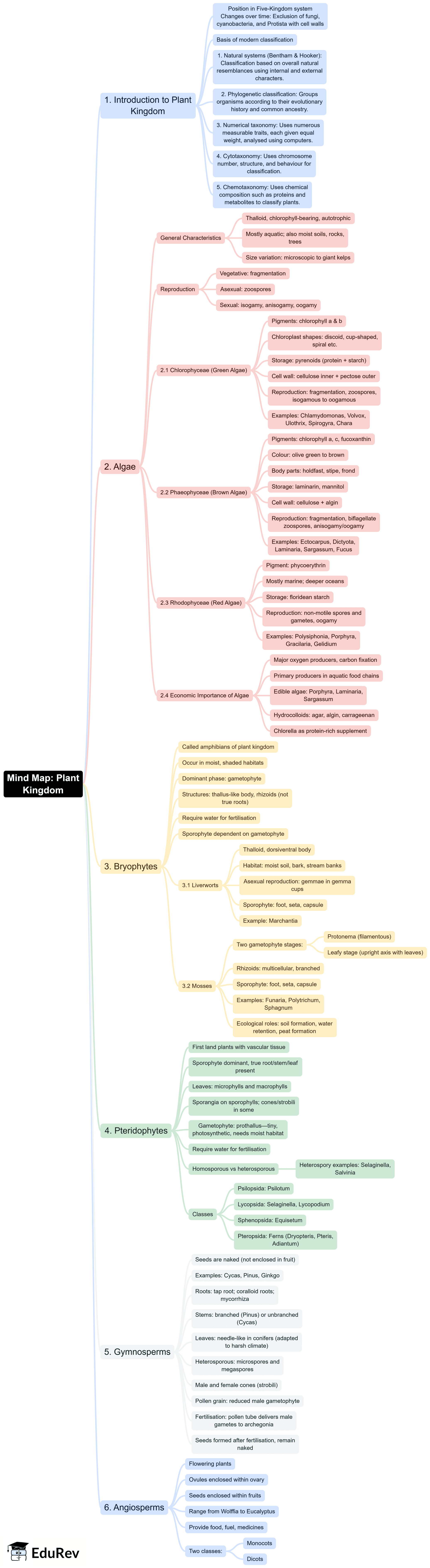 Mind Map: Plant Kingdom