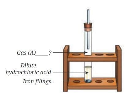 Unit Test: Nature of Matter: Elements, Compounds, and Mixtures | Science Curiosity Class 8 -  New NCERT