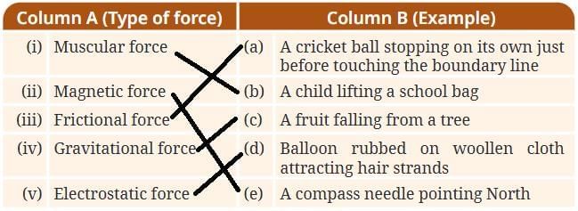 Exploring Forces NCERT Solutions | Science Curiosity Class 8 -  New NCERT