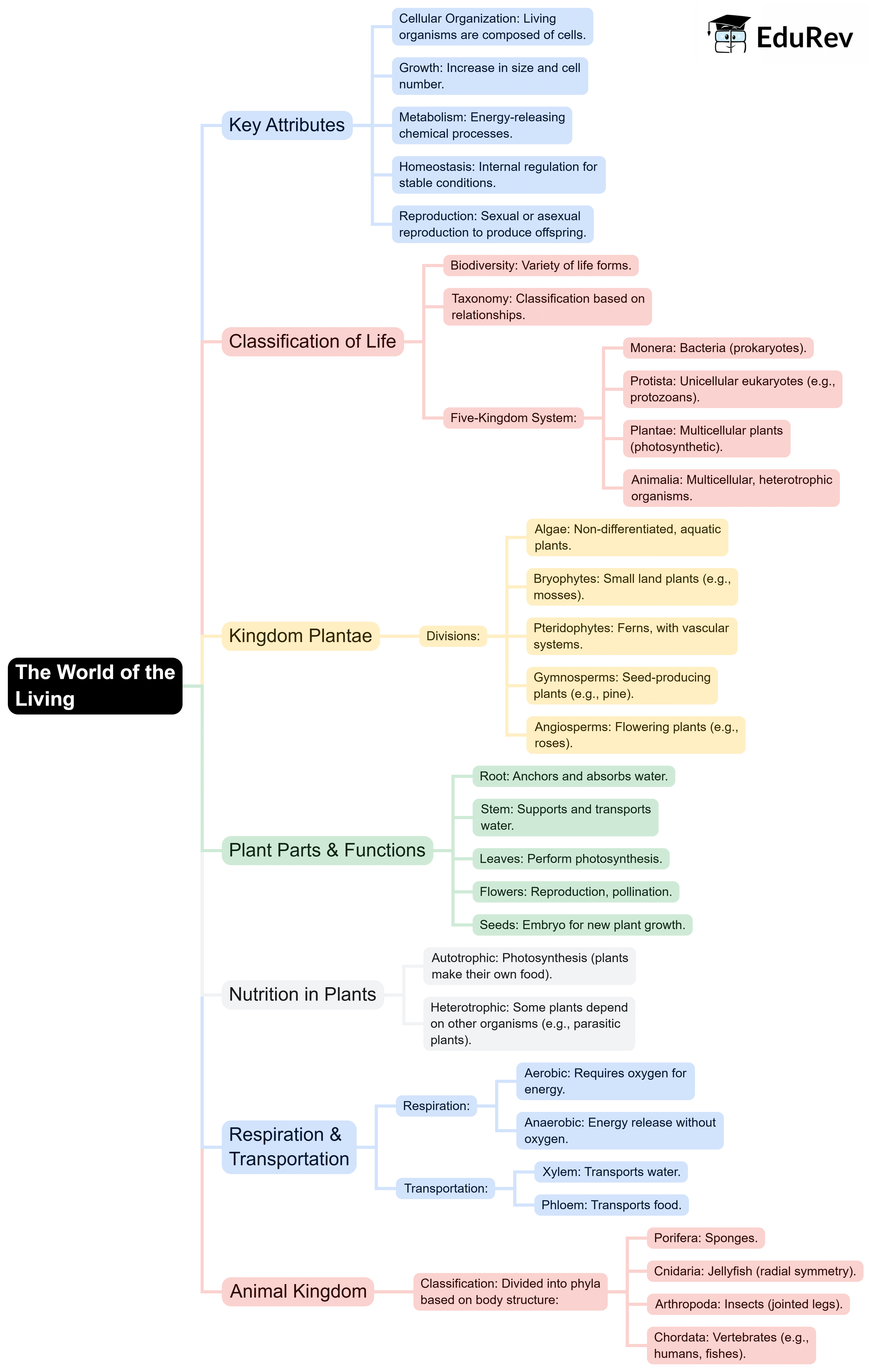 Mind Map: The World of the Living | Science & Pedagogy Paper 2 for CTET & TET Exams - CTET & State TET