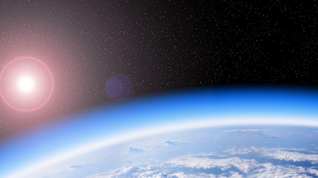 Cheat Sheet: Our Environment | Science Class 10