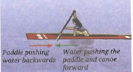 6.6 Newton`s Third Law of Motion