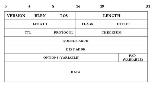 IP (Internet Protocol) | Computer Networks - Computer Science Engineering (CSE)