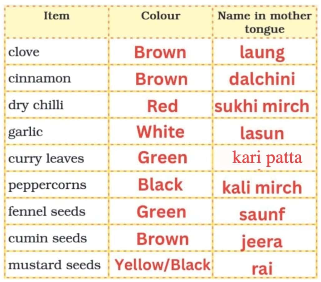 The Rainbow NCERT Solutions | English Santoor Class 5 - New NCERT