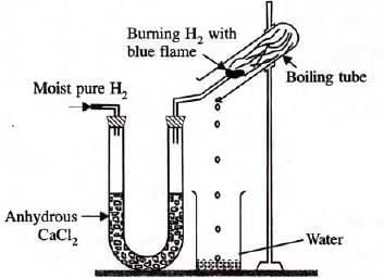 Study Of The First Element – Hydrogen Chapter Notes | Chemistry Class 9 ICSE