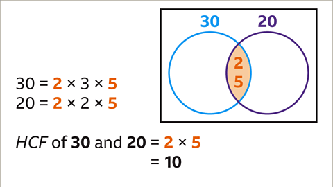 What is a Common Factor? - Year 7
