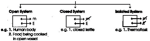 Thermodynamics, Chapter Notes, Class 11, Chemistry (IIT-JEE & AIPMT)