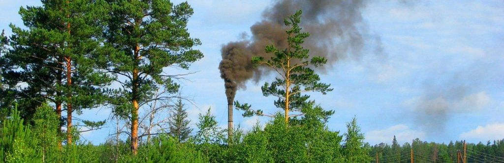 Revision Notes: Pollution - A Rising Environmental Problem | Biology Class 10 ICSE