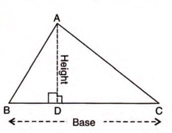 Area and Perimeter of Triangles