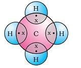 Carbon Compounds Chapter Notes | Earth and Environmental Science for Year 12