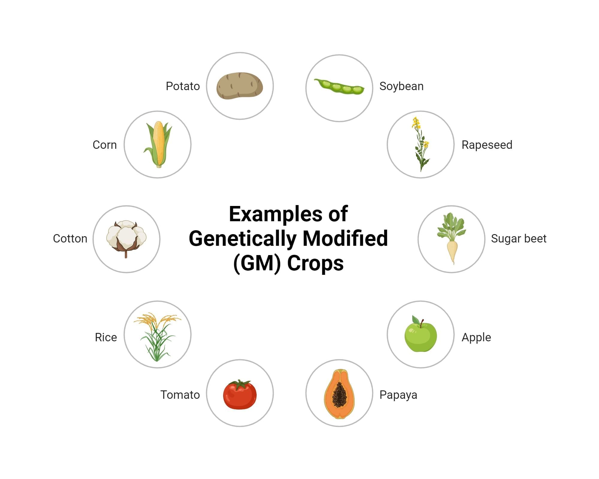 GM Crops & Regulatory Mechanisms in India | Science & Technology for UPSC CSE