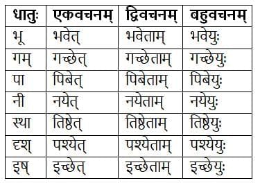 धातुरूपाणि Chapter Notes | Chapter Notes For Class 8