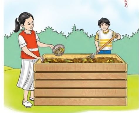 NCERT Based Activity: The Invisible Living World: Beyond Our Naked Eye | Science Curiosity Class 8 -  New NCERT
