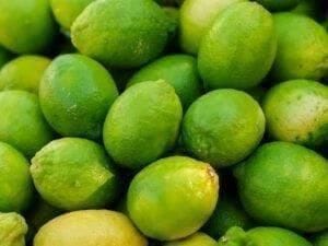 GI Tagged Indi and Puliyankudi Limes