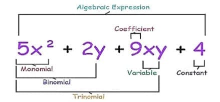 Types of Algebraic Expressions