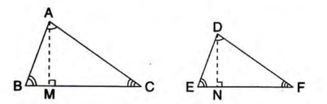 Similarity Chapter Notes | Mathematics Class 10 ICSE