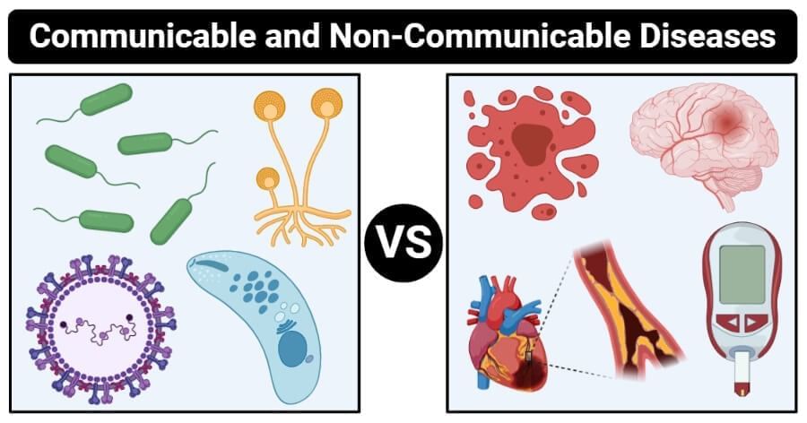 Health: The Ultimate Treasure Chapter Notes | Science Curiosity Class 8 -  New NCERT