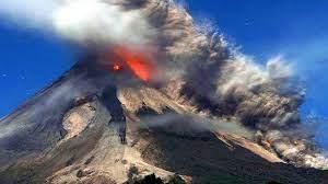 Natural Disasters - 1 Class 5 Worksheet SST