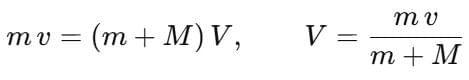 Collisions | Physics Class 11 - NEET