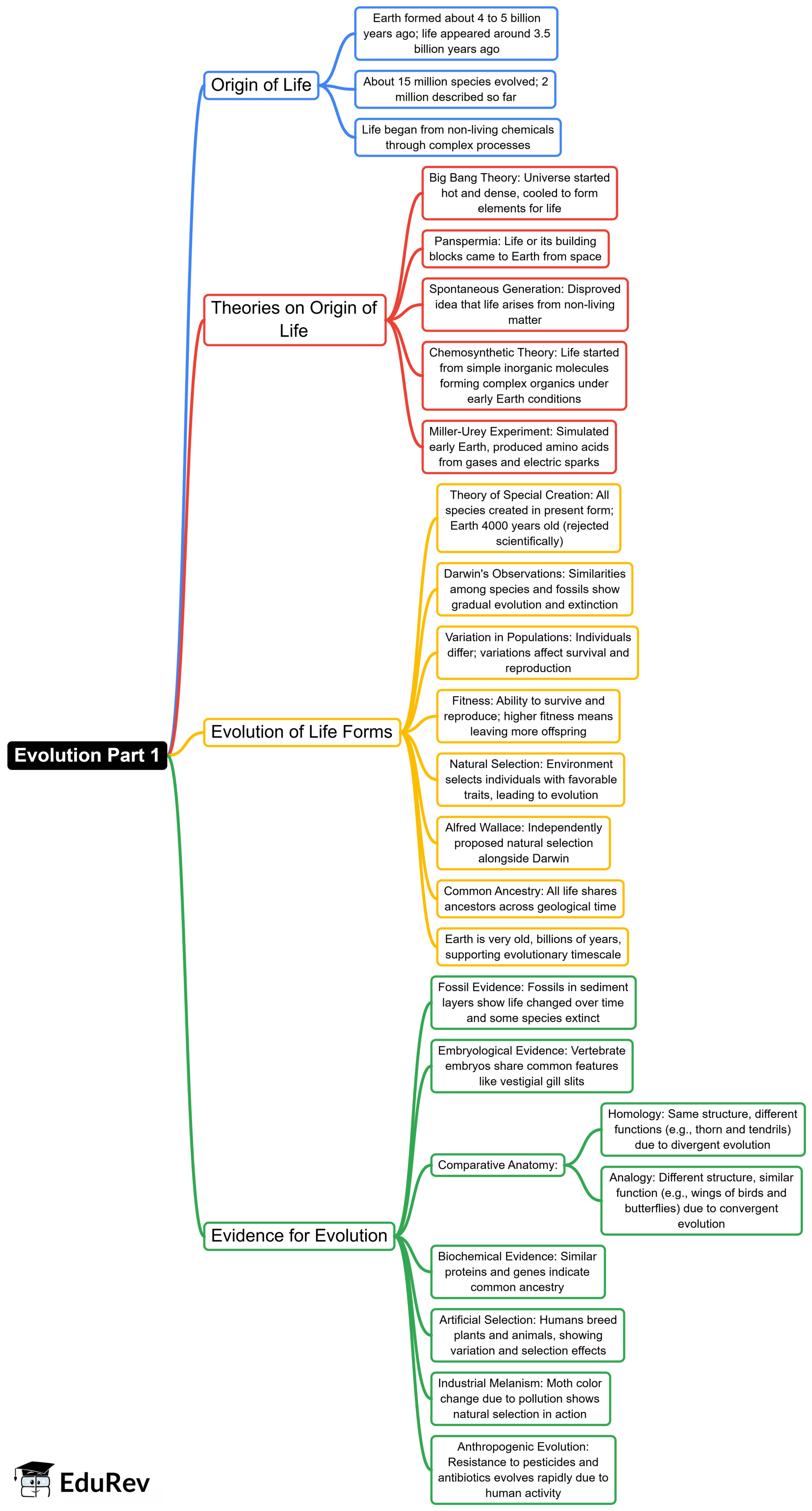 Evolution Mind Map - NEET Biology Class 12 PDF Download