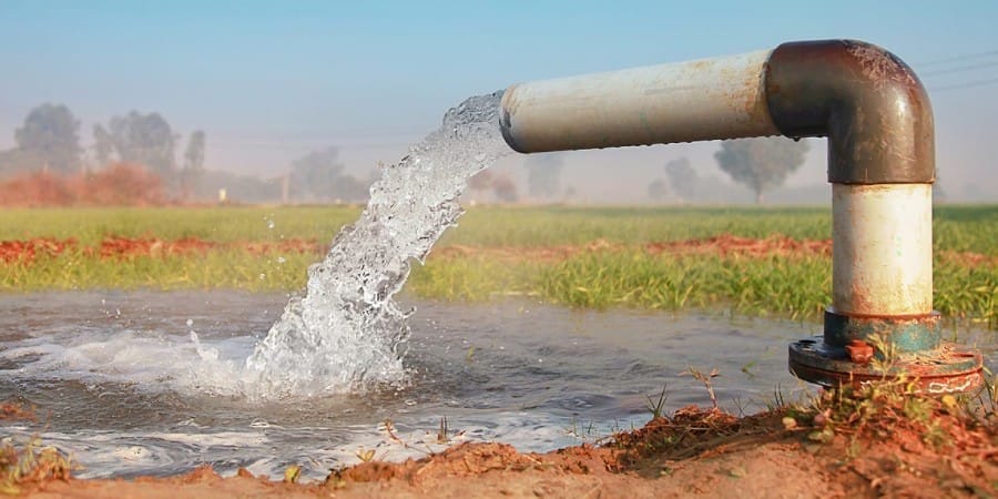 Multiple Choice Questions (MCQs)