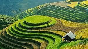 Soil Erosion And Conservation - 1 Class 5 Worksheet Science