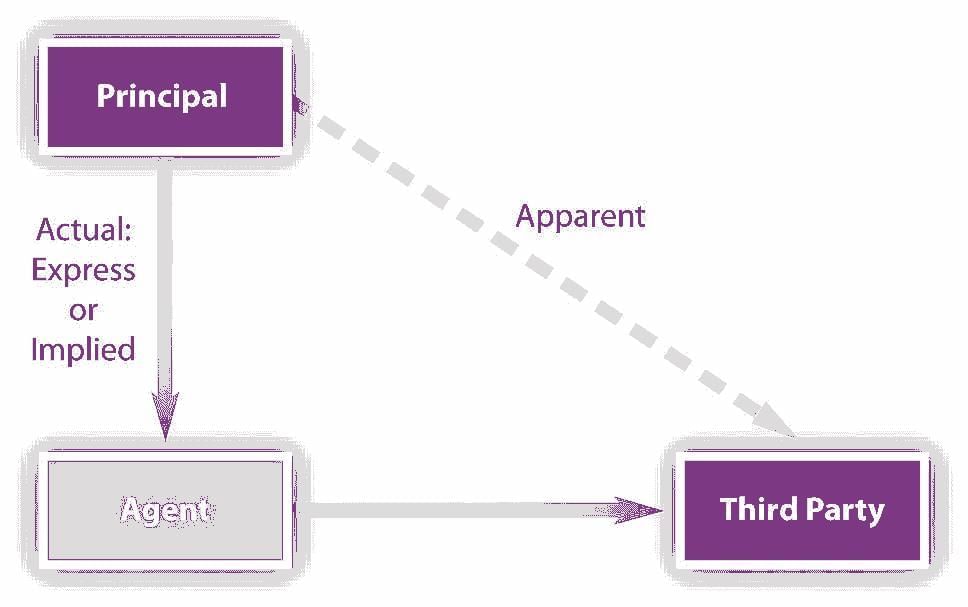 Law of Torts: Vicarious Liability | Legal Reasoning for CLAT