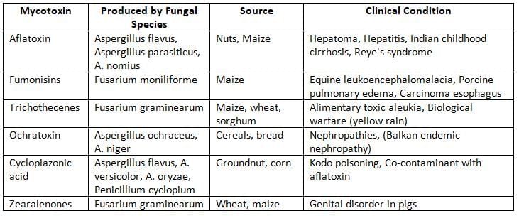 Mycology Chapter Notes | Microbiology - NEET PG