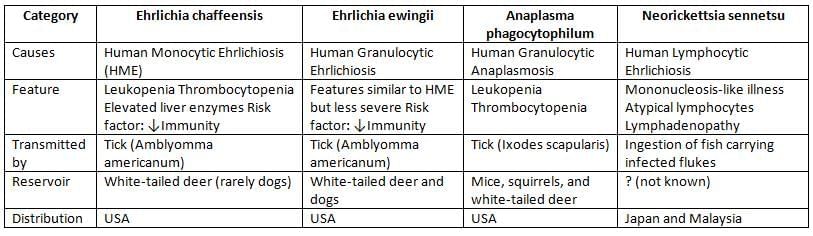 Rickettsia, Chlamydia and Mycoplasma Chapter Notes | Microbiology - NEET PG