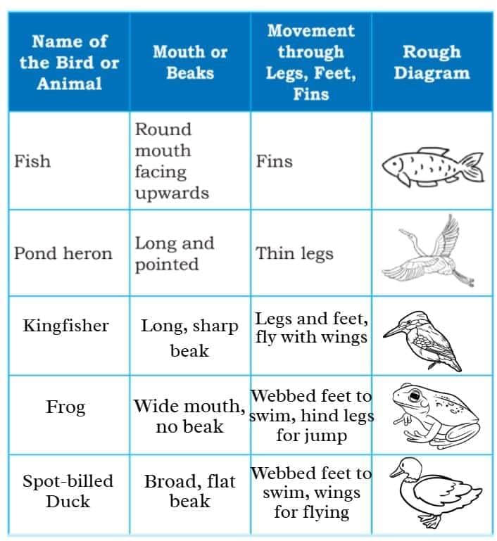 Water—The Essence of Life NCERT Solutions | Our Wondrous World  Class 5 - New NCERT