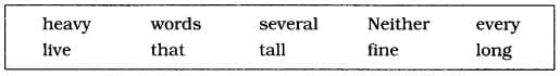Unit Test Solutions : Adjectives | English Grammar for Class 6