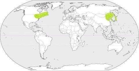 Climatic Regions of the World | Geography for UPSC CSE