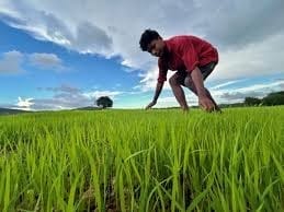 A Bit of a Blur Over India`s New Carbon Credit Plan