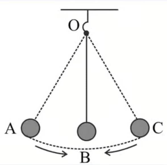 Class 8 Science: Sample Paper Solutions - 2 | Sample Papers For Class 8