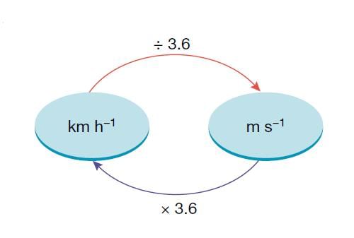answer Image