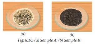 NCERT Based Activity: Nature of Matter: Elements, Compounds, and Mixtures | Science Curiosity Class 8 -  New NCERT
