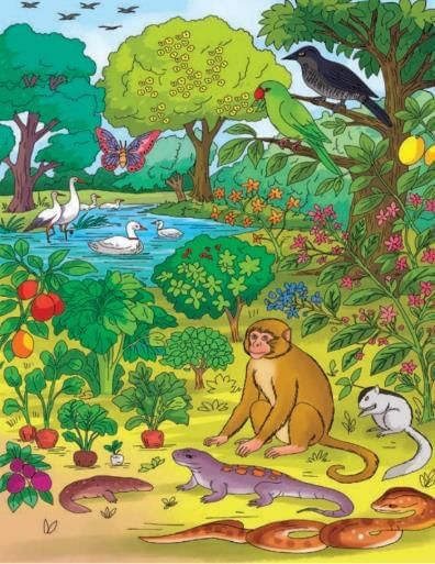 Rhythms of Nature Chapter Notes | Our Wondrous World  Class 5 - New NCERT