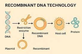Source of DNA