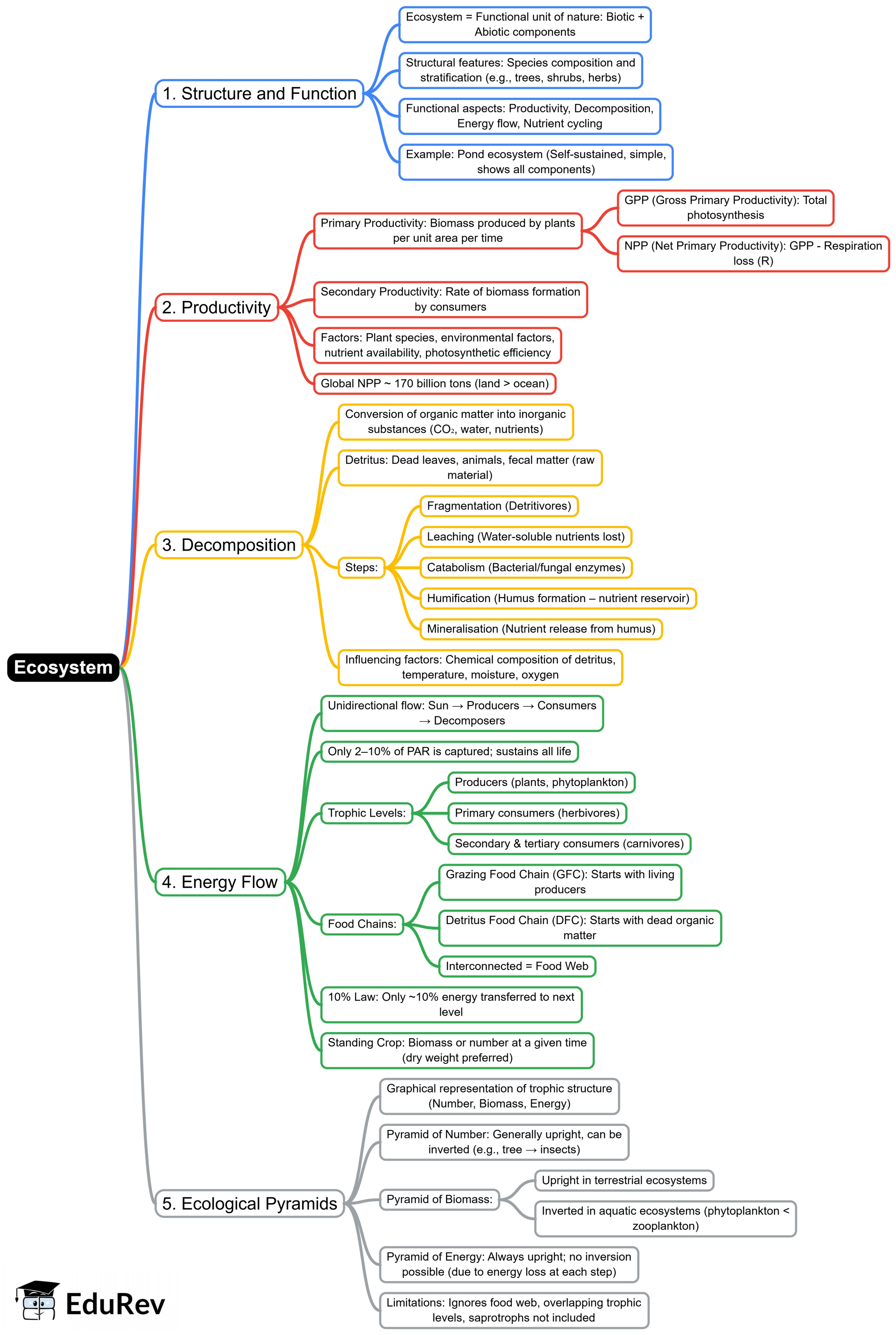 Mind Map: Ecosystem | Biology Class 12 - NEET