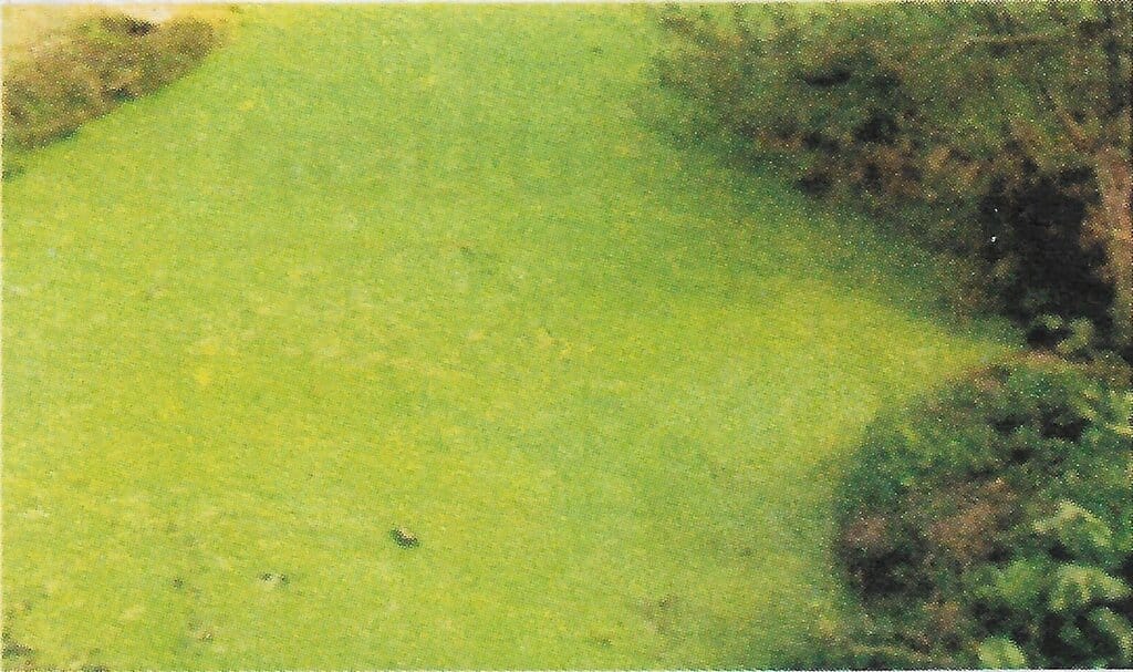 Choose the correct option  Question 1