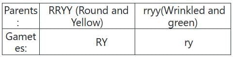 NEET Previous Year Questions(2016-25): Principles of Inheritance & Variation | Biology Class 12
