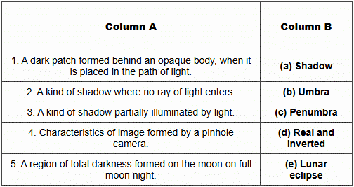 Que: E. Match the statements in Column A, with those in Column B :