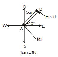 Vector & Scalar Quantities | Physics Class 11 - NEET