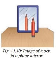 Activity Description