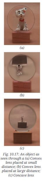 NCERT Based Activity: Light: Mirrors and Lenses | Science Curiosity Class 8 -  New NCERT