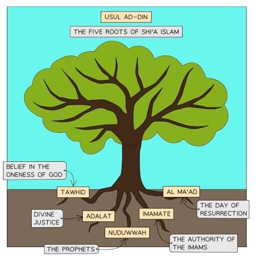 Difference Between Sunnii & Shi`a Core Beliefs | Religion, Philosophy & Ethics for GCSE/IGCSE - Year 11
