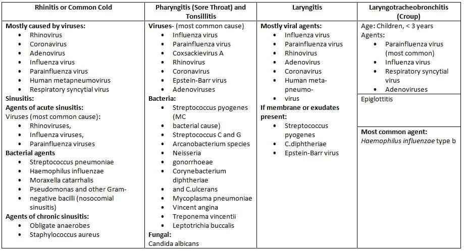 Clinical Microbiology (Infective Syndromes) Chapter Notes | Microbiology - NEET PG