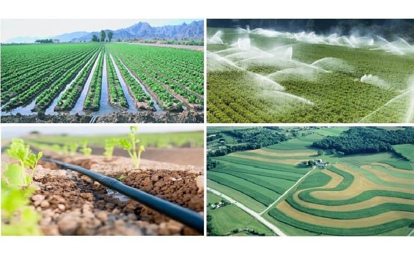 Revision Notes: Water Resources | Environmental Management for Grade 10